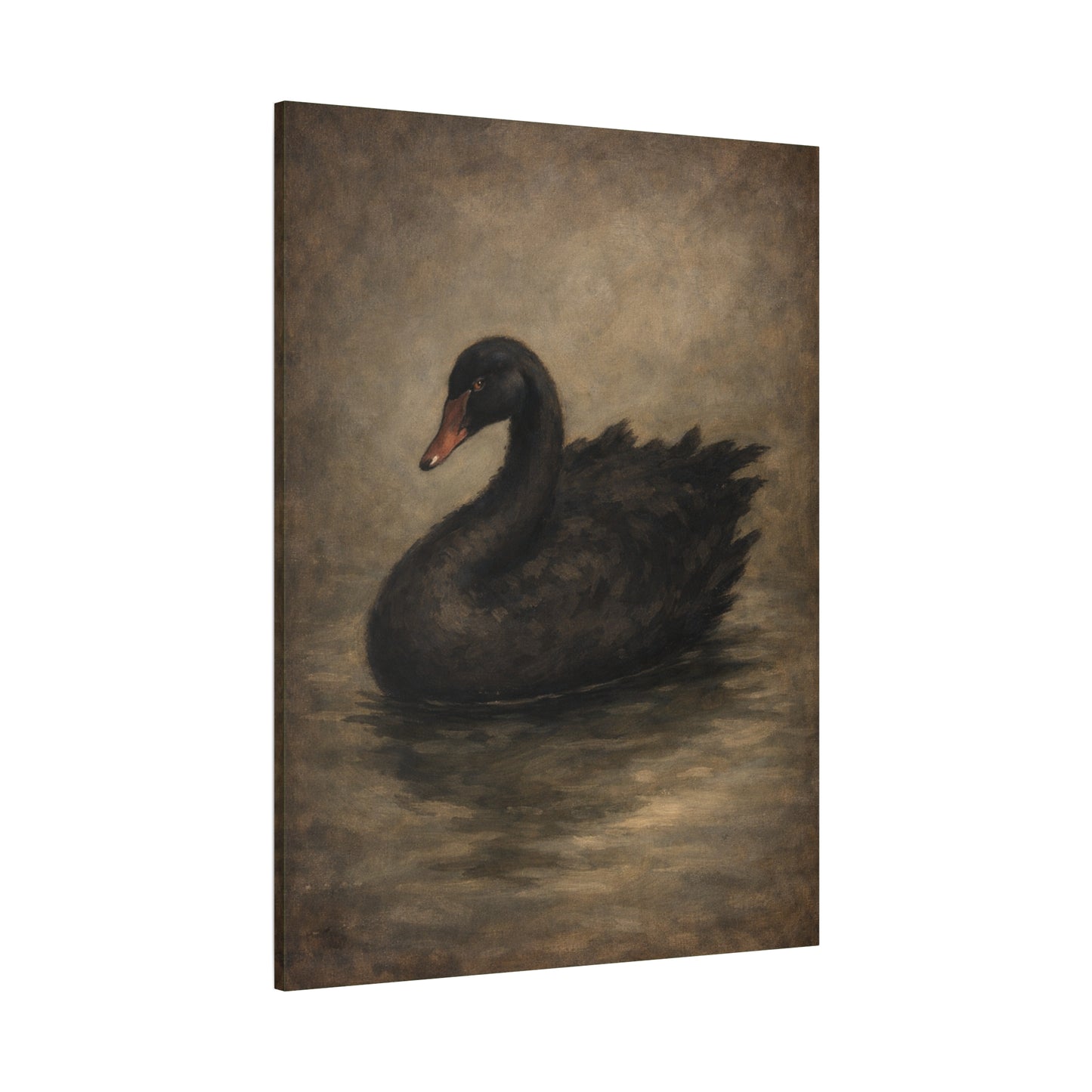 Black Swan Matte Canvas