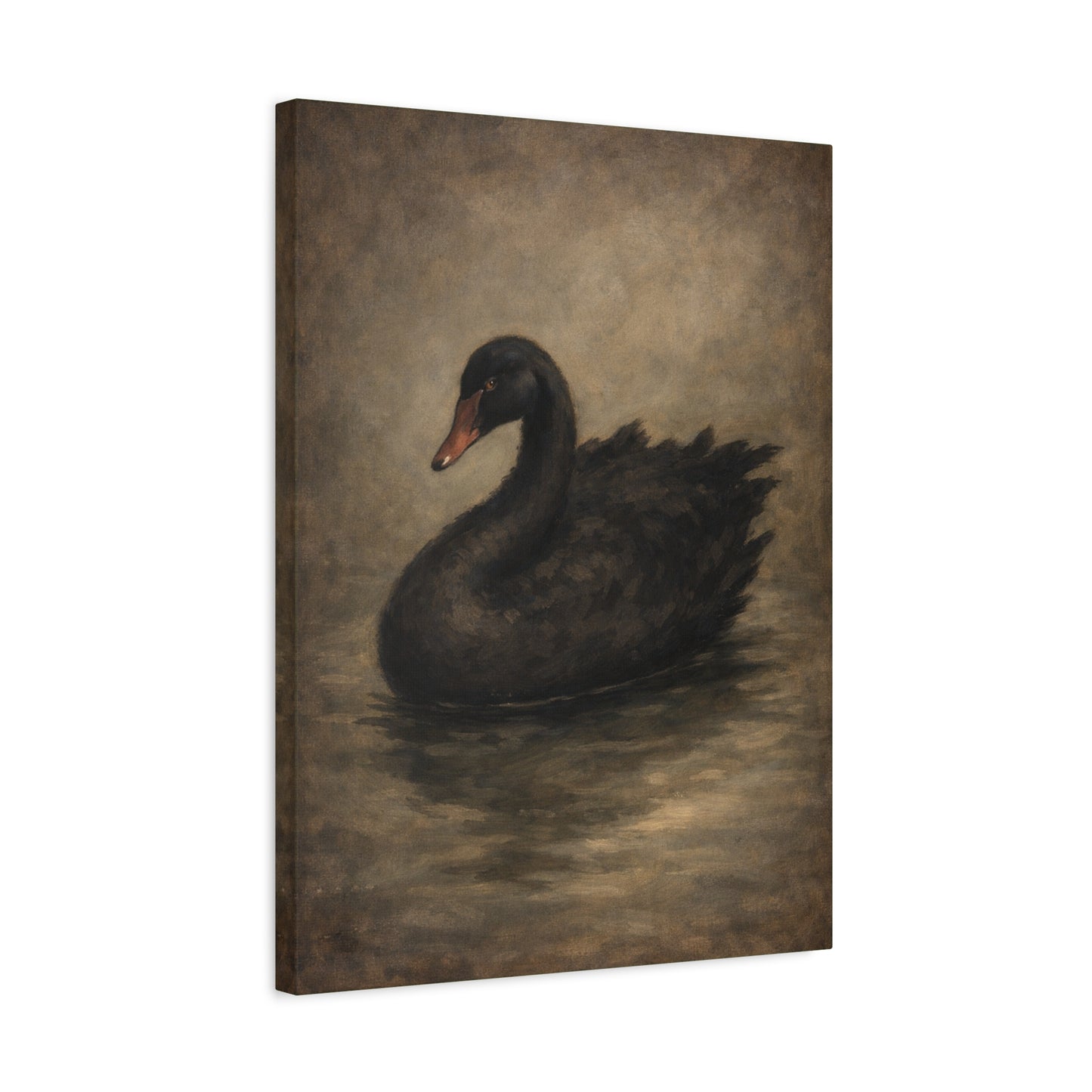 Black Swan Matte Canvas