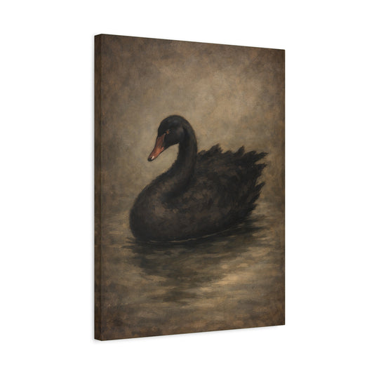 Black Swan Matte Canvas