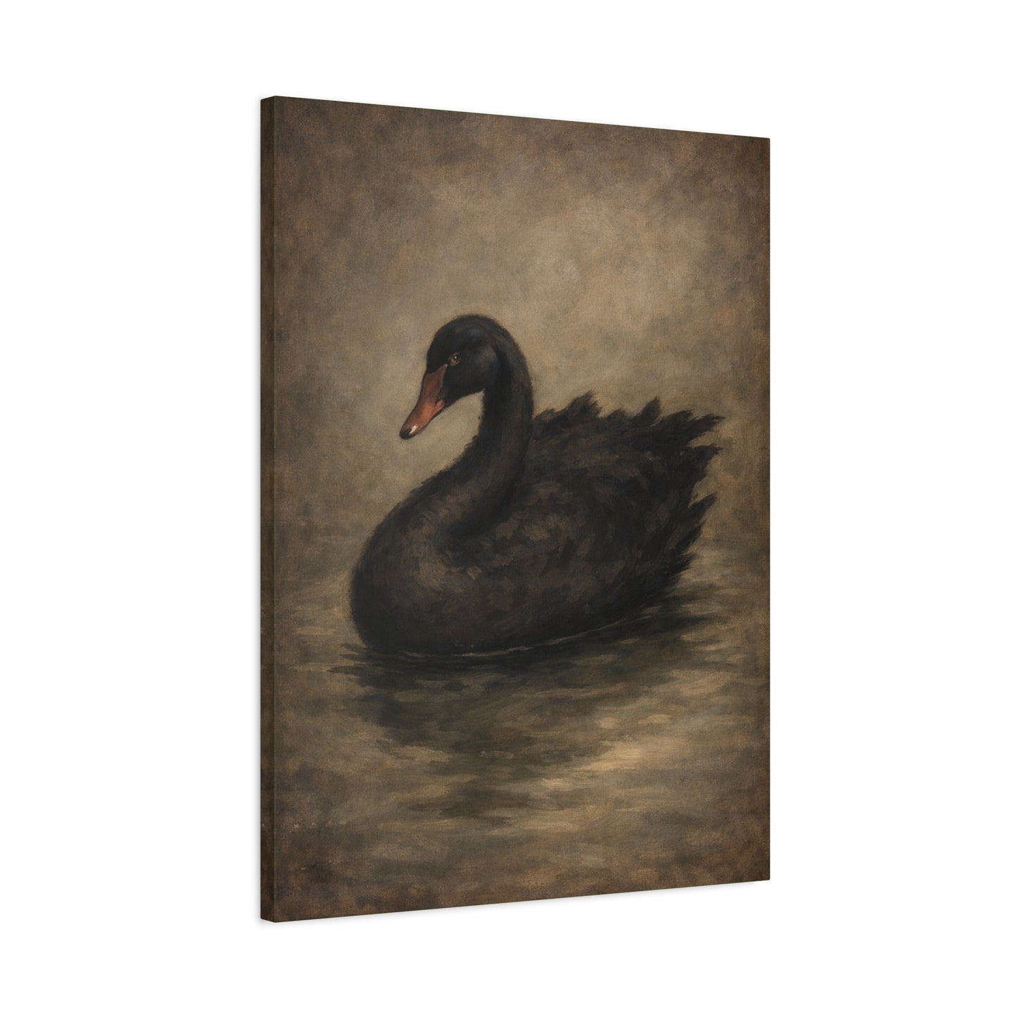 Black Swan Matte Canvas